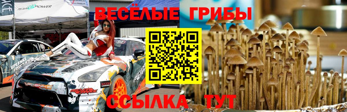 Псилоцибиновые грибы Cubensis Саянск